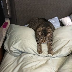 Meet your Posher, Paula